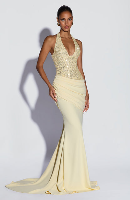 Scarlet Gown Maxi Dress