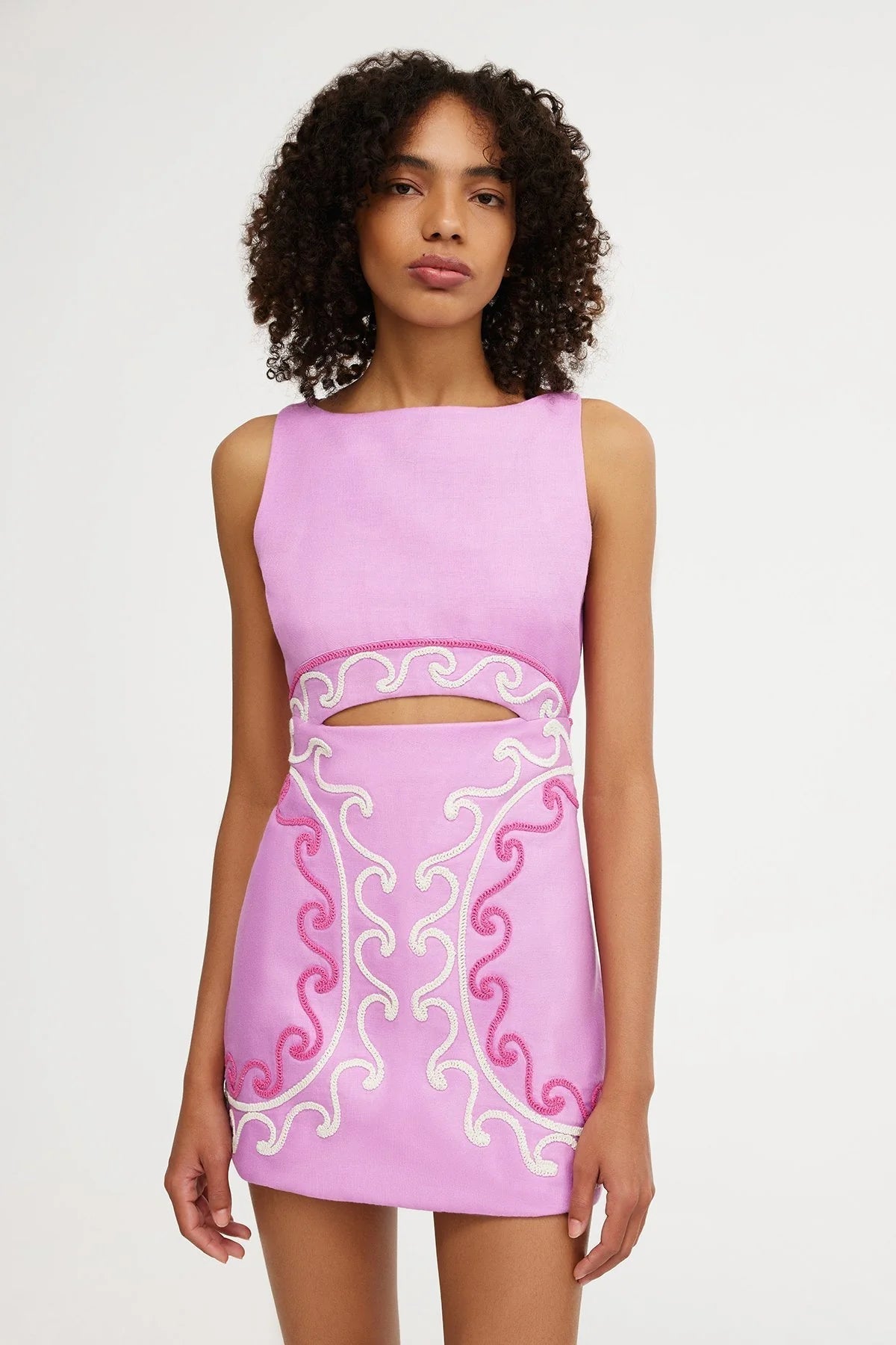 Emeline Embroidered Mini Dress